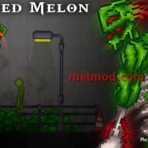 Infected Melon Infected Watermelon Mod for Melon playground