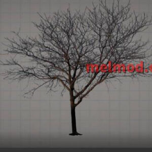 tree without leaves Mod for Melon playground