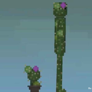 cactus Mod for Melon playground