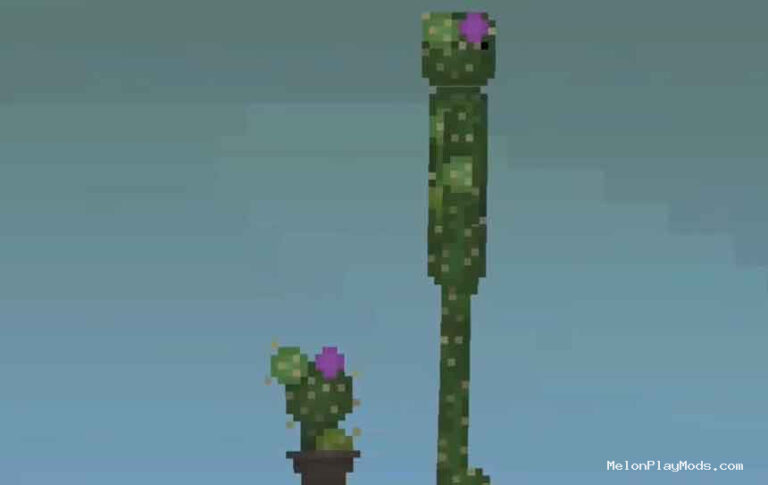cactus Mod for Melon playground